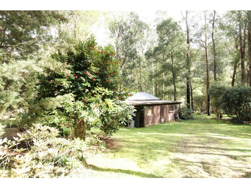 31 Fisherman Drive, Reefton VIC 3799