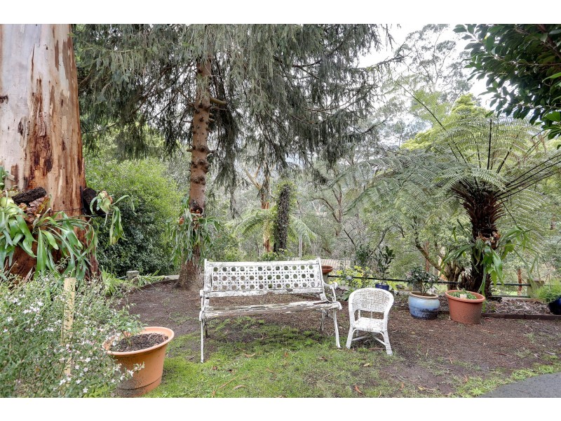 41 Riverside Drive, Warburton VIC 3799