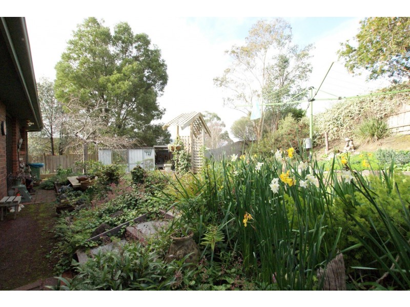 1 Middleton Drive, Woori Yallock VIC 3139