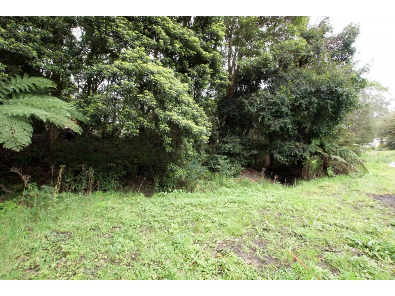 113 Barak Drive, Launching Place VIC 3139