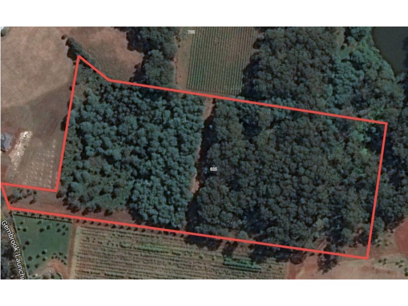 825 Gembrook – Launching Place Road, Hoddles Creek VIC 3139