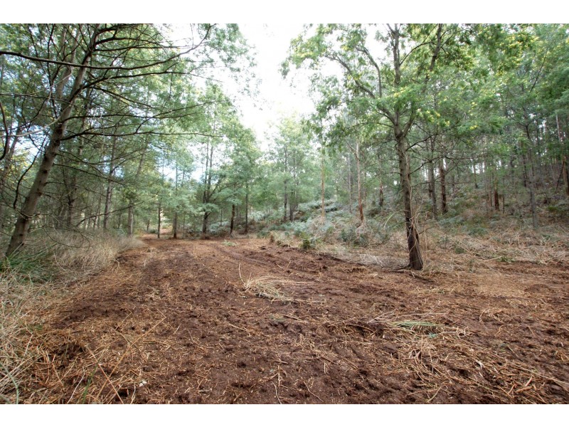 825 Gembrook – Launching Place Road, Hoddles Creek VIC 3139