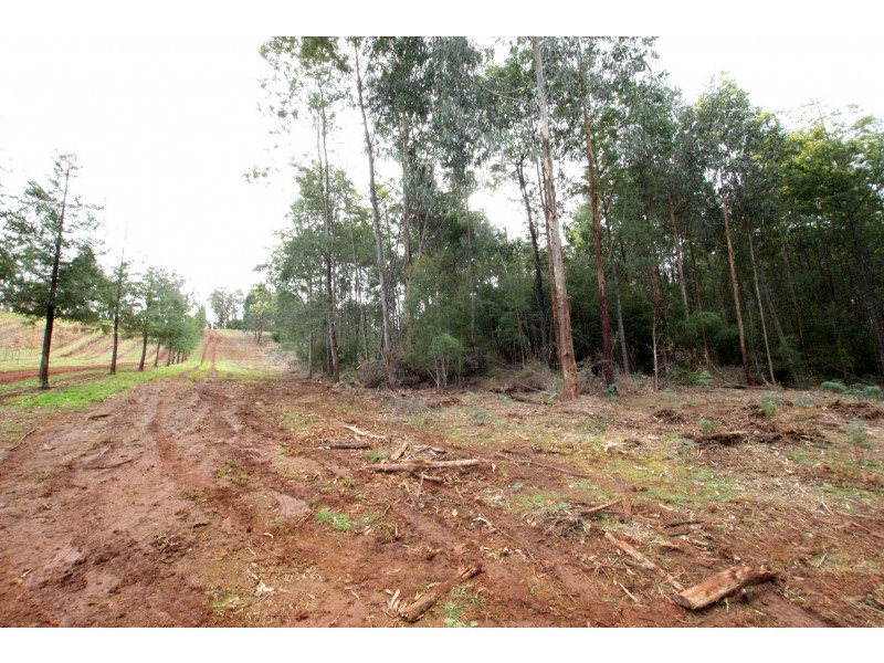 825 Gembrook – Launching Place Road, Hoddles Creek VIC 3139