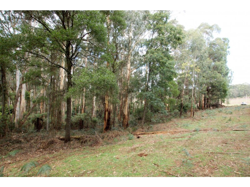 825 Gembrook – Launching Place Road, Hoddles Creek VIC 3139