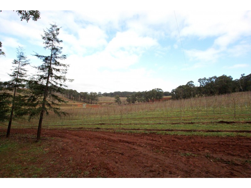 825 Gembrook – Launching Place Road, Hoddles Creek VIC 3139