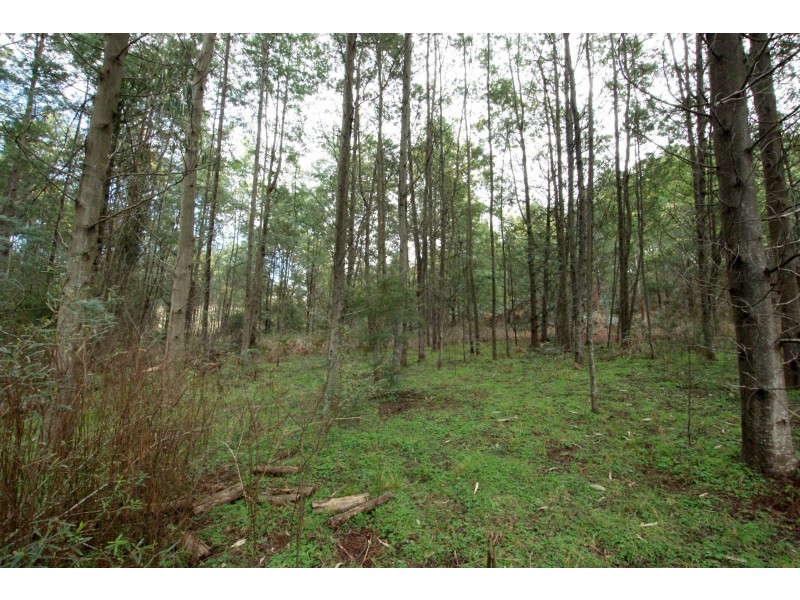 825 Gembrook – Launching Place Road, Hoddles Creek VIC 3139