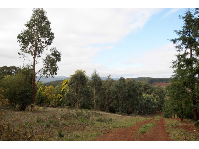 825 Gembrook – Launching Place Road, Hoddles Creek VIC 3139