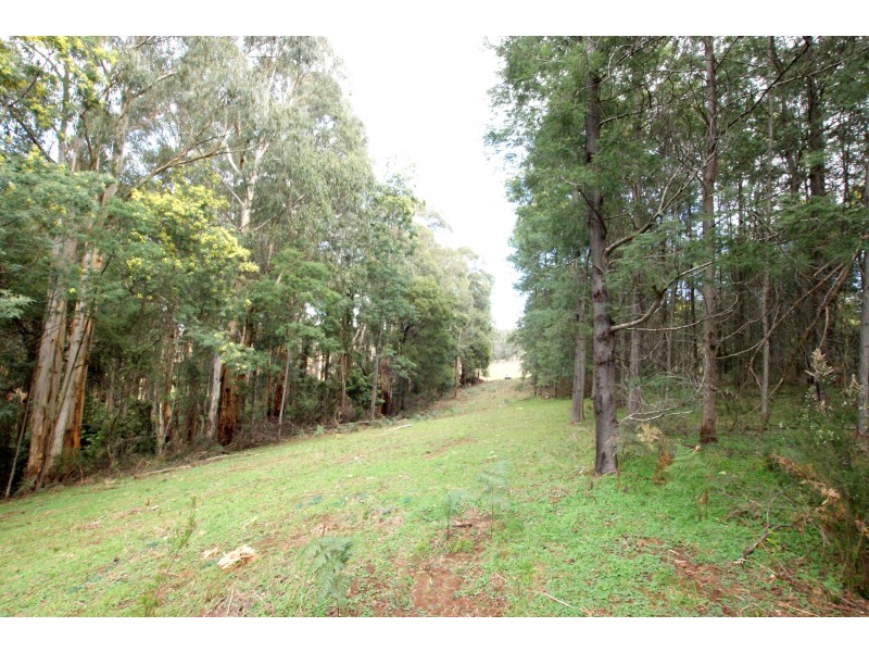 825 Gembrook – Launching Place Road, Hoddles Creek VIC 3139