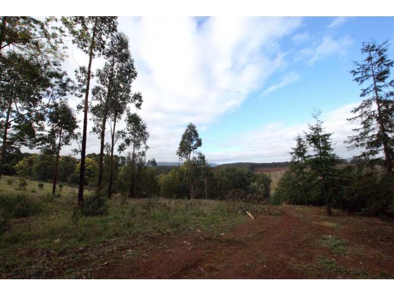 825 Gembrook – Launching Place Road, Hoddles Creek VIC 3139