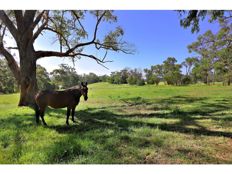 50 Wandin Creek Road, Wandin East VIC 3139
