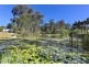 50 Wandin Creek Road, Wandin East VIC 3139