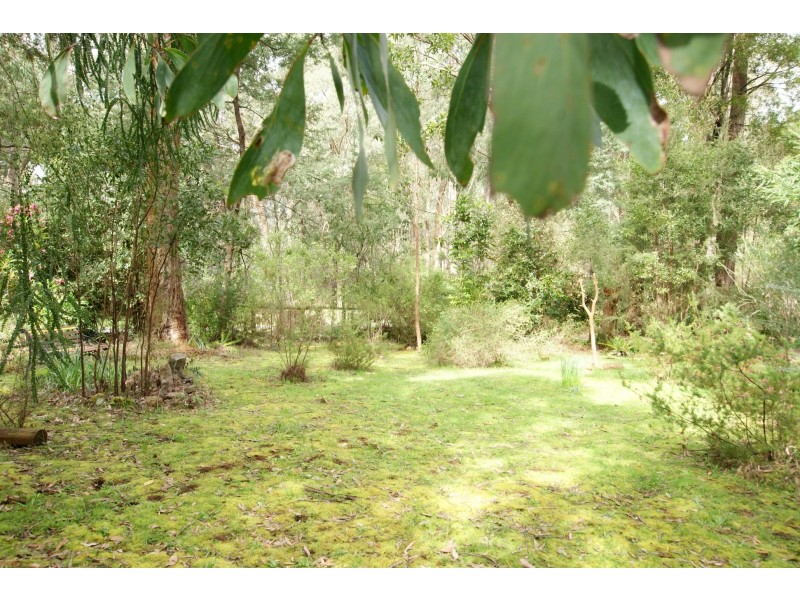 11 Nello Drive, Reefton VIC 3799