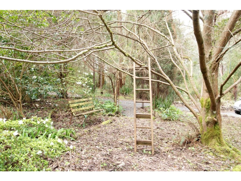 11 Nello Drive, Reefton VIC 3799