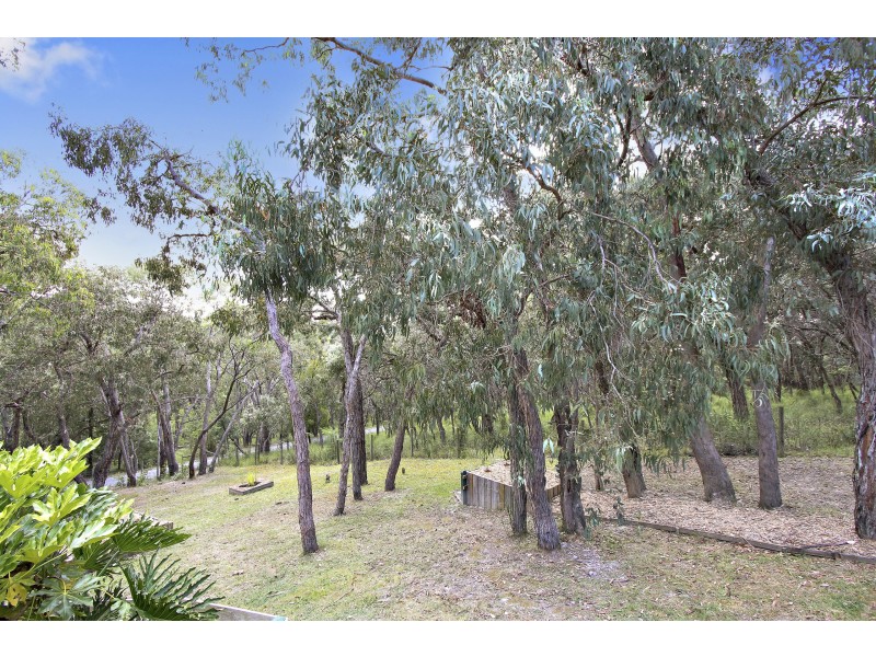 25 Yellowgum Road, Hoddles Creek VIC 3139