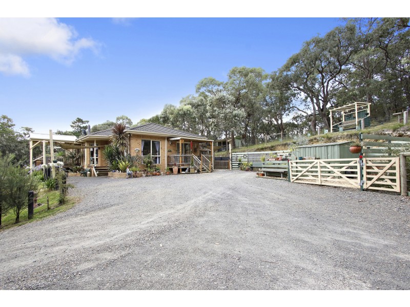 25 Yellowgum Road, Hoddles Creek VIC 3139