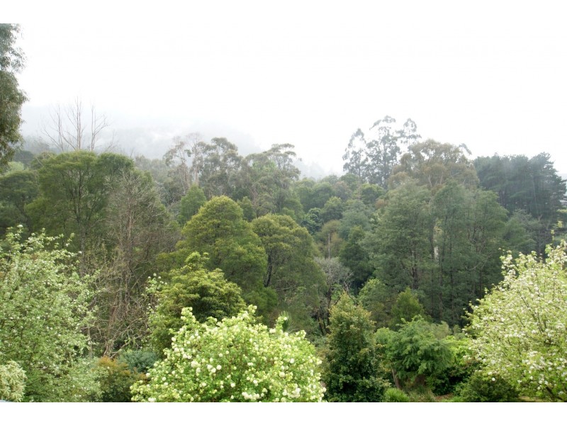 36 Donna Buang Road, Warburton VIC 3799