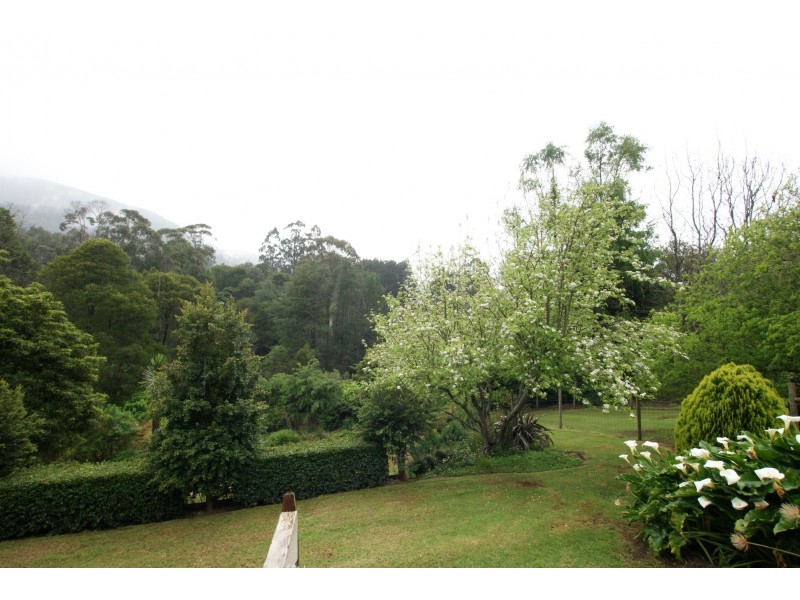 36 Donna Buang Road, Warburton VIC 3799