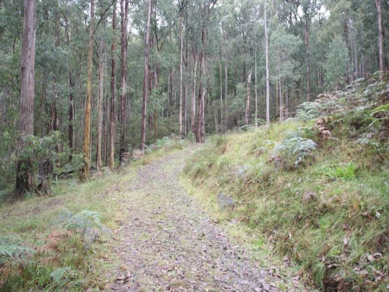 34 Fisherman Drive, Reefton VIC 3799