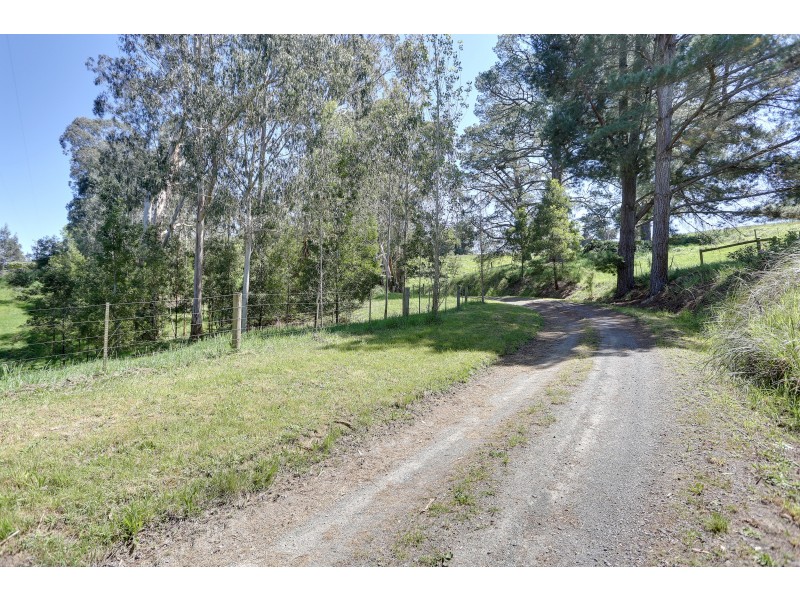 110 Elvian Road, Woori Yallock VIC 3139