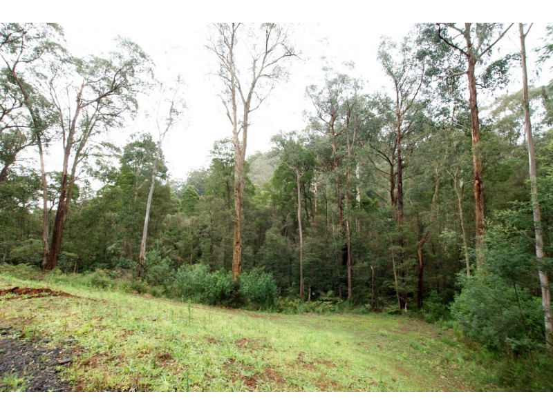 80D Blacksands Road, Three Bridges VIC 3797