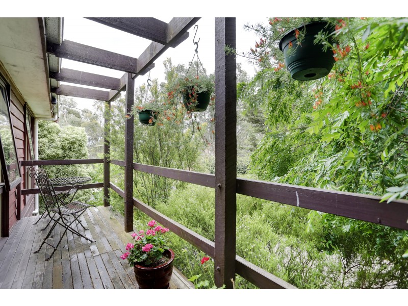 24 Cynthia Grove, Woori Yallock VIC 3139