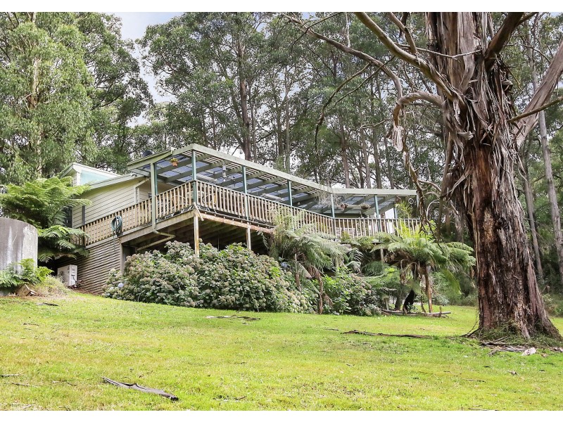 753 Myers Creek Road, Toolangi VIC 3777