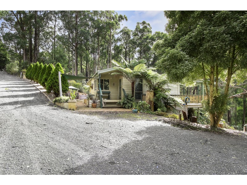 753 Myers Creek Road, Toolangi VIC 3777