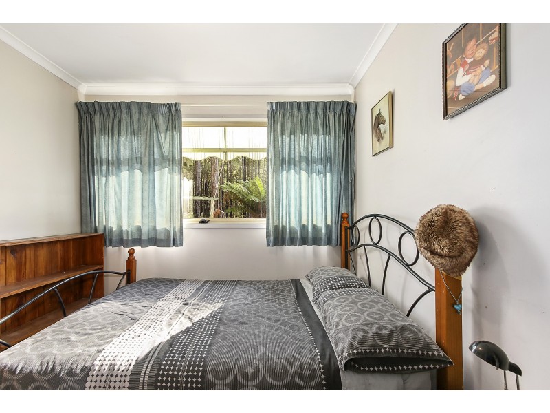 753 Myers Creek Road, Toolangi VIC 3777