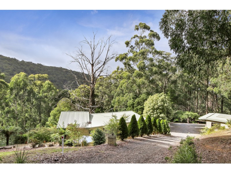 753 Myers Creek Road, Toolangi VIC 3777