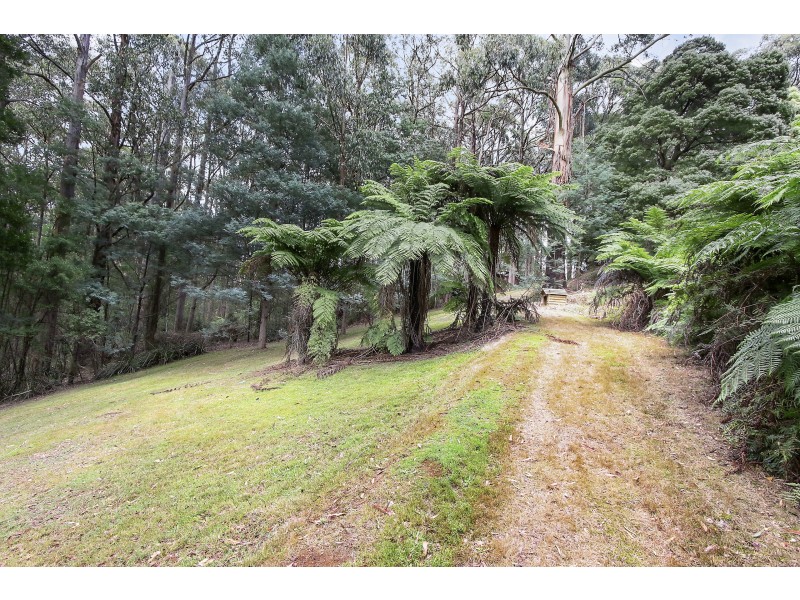 753 Myers Creek Road, Toolangi VIC 3777