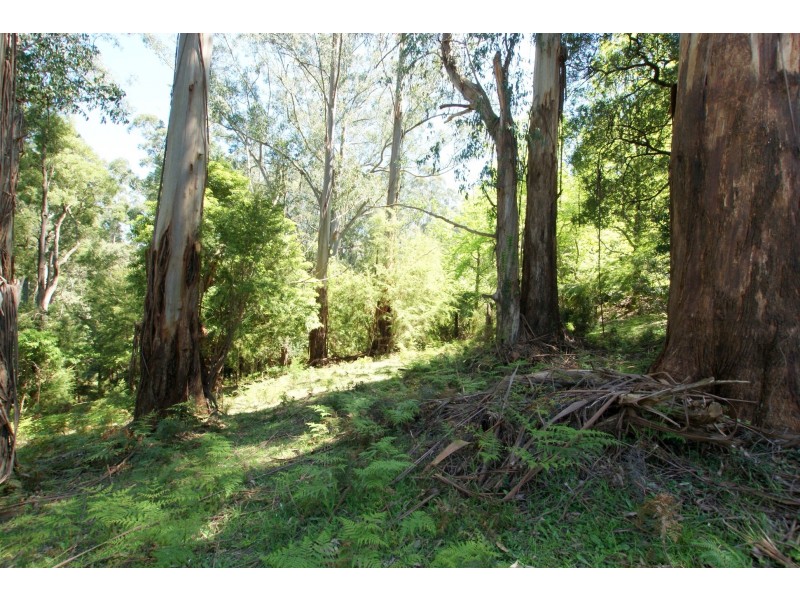 2 Essex Street, Warburton VIC 3799