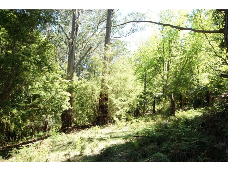 2 Essex Street, Warburton VIC 3799