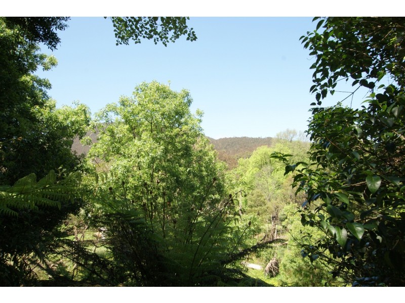 23  McKenzie King Drive, Millgrove VIC 3799