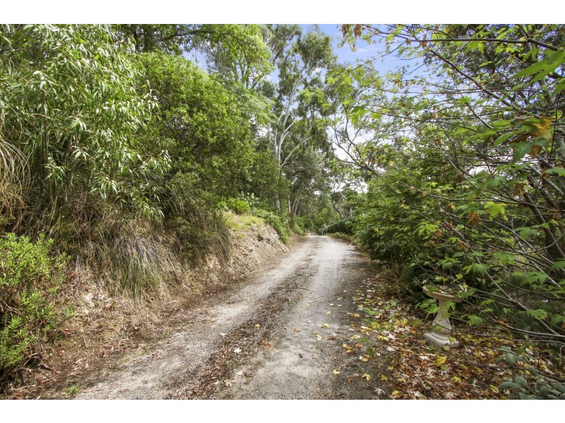 141 Barak Drive, Launching Place VIC 3139