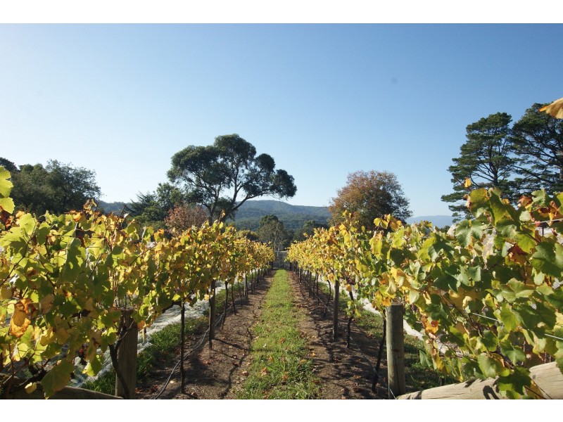 631 Victoria Road, Seville VIC 3139