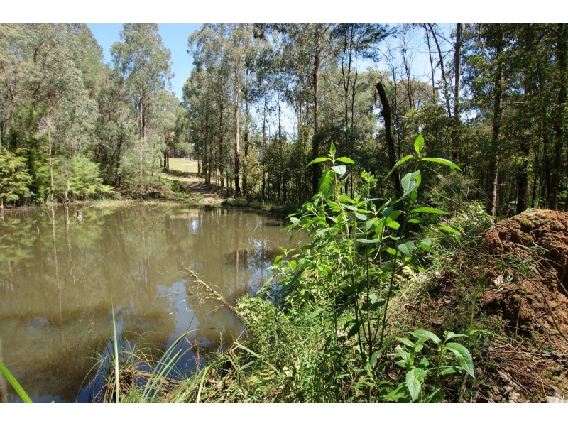 330 Thonemans Road, Hoddles Creek VIC 3139