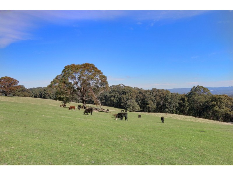 330 Thonemans Road, Hoddles Creek VIC 3139