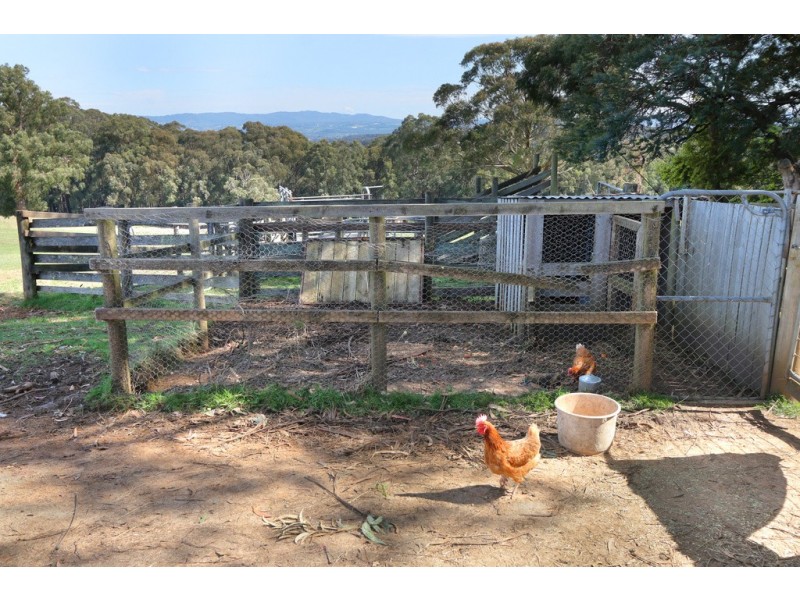 330 Thonemans Road, Hoddles Creek VIC 3139