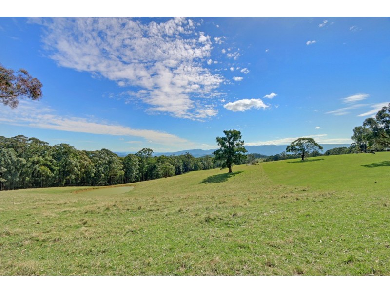 330 Thonemans Road, Hoddles Creek VIC 3139