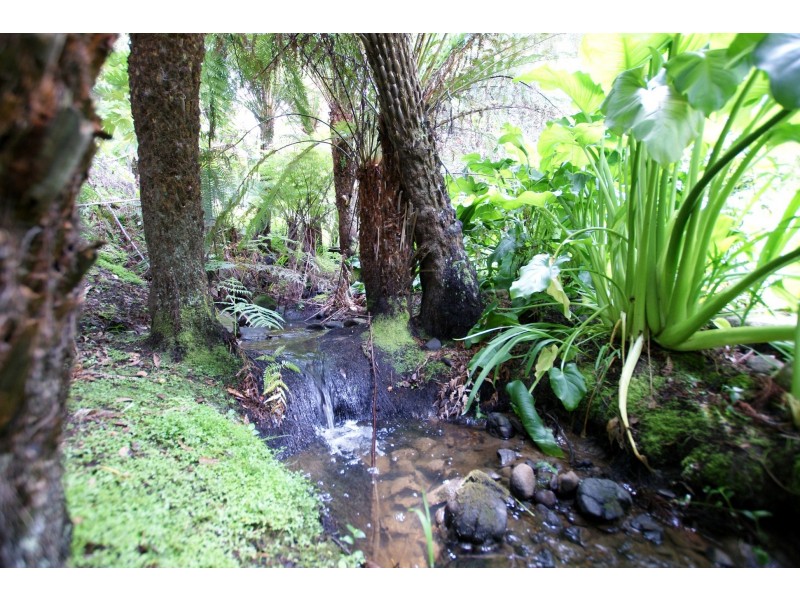 1 Marlino Avenue, Warburton VIC 3799