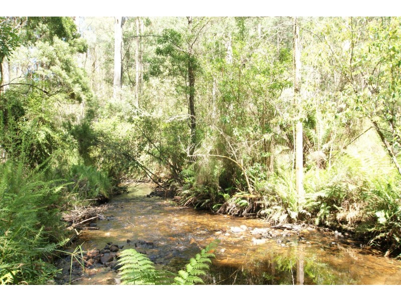 43 -45 Fisherman Drive, Reefton VIC 3799