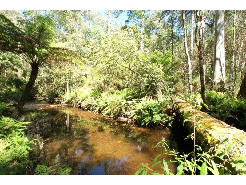 43 -45 Fisherman Drive, Reefton VIC 3799