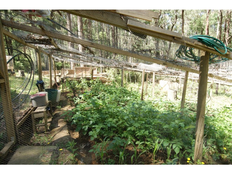 43 -45 Fisherman Drive, Reefton VIC 3799