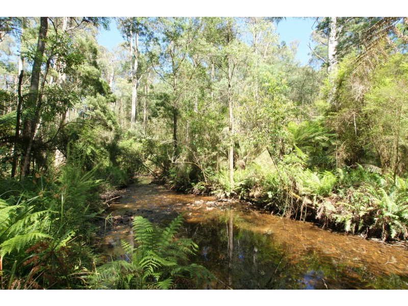 43 -45 Fisherman Drive, Reefton VIC 3799