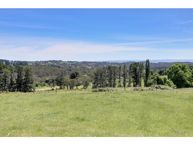 43 Monbulk Seville Road, Seville VIC 3139