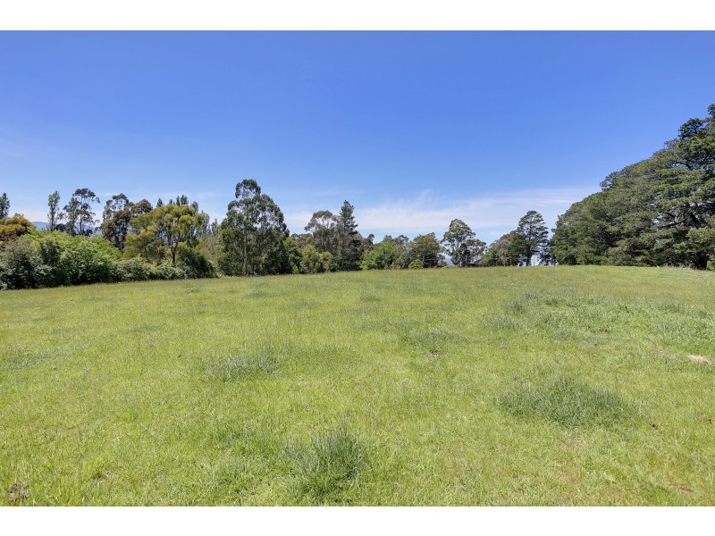 43 Monbulk Seville Road, Seville VIC 3139