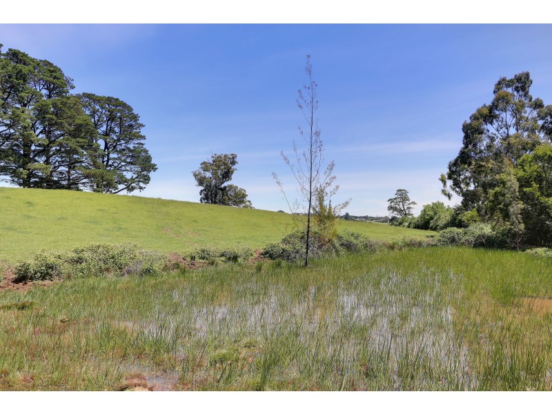 43 Monbulk Seville Road, Seville VIC 3139