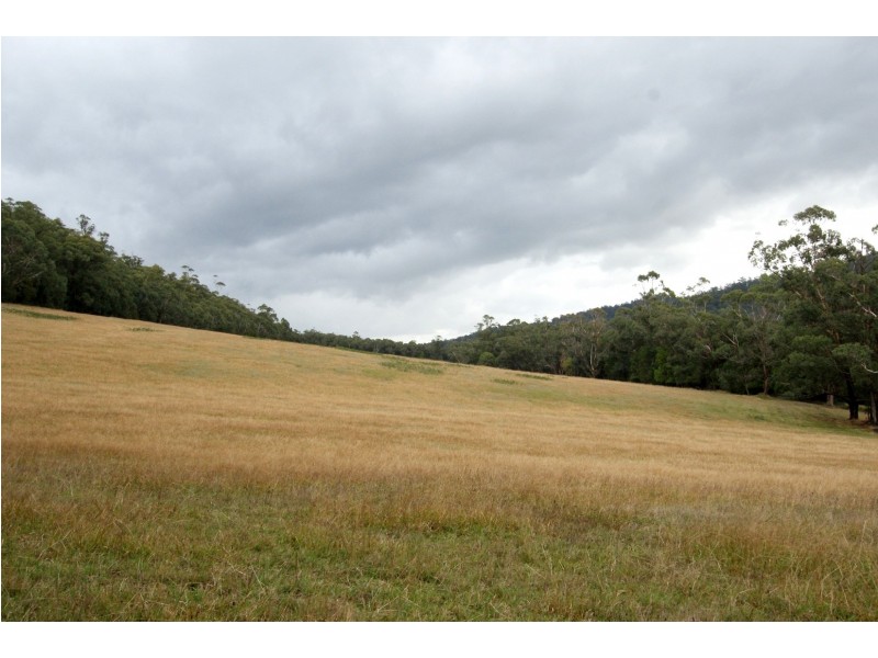 1700 Woods Point Road, Mcmahons Creek VIC 3799