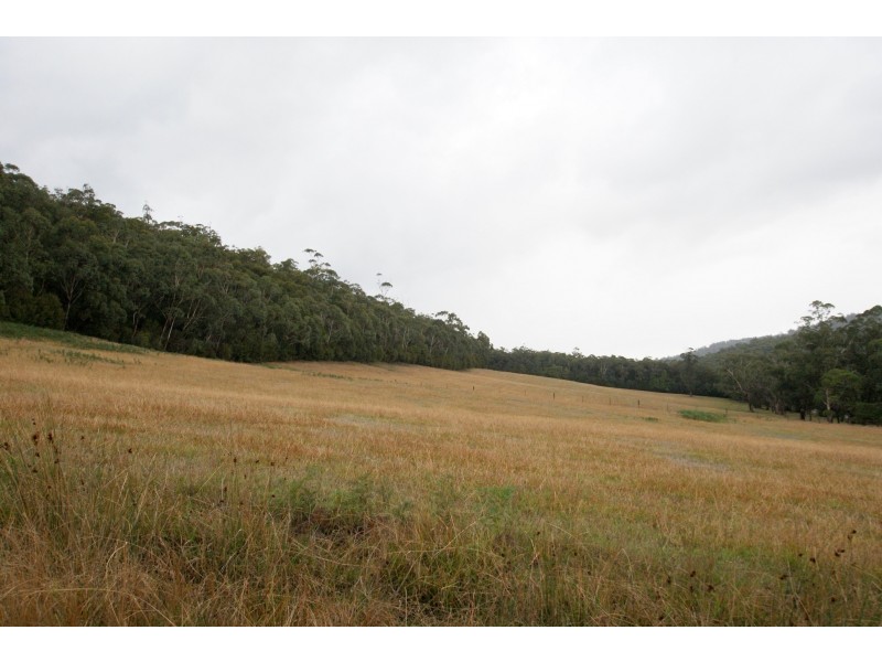 1700 Woods Point Road, Mcmahons Creek VIC 3799