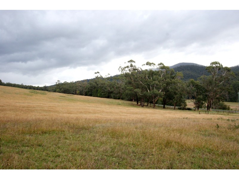 1700 Woods Point Road, Mcmahons Creek VIC 3799